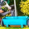 12 consejos esenciales de jardinería primaveral de los profesionales