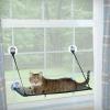 7 המושבים, המושבים והמיטות לחלונות חתולים הטובים ביותר