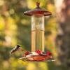 13 otázok o podávačoch kolibríka, na ktoré odpovedali profesionáli
