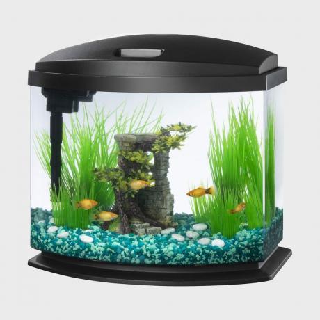 Aqueon Led Minibow Smartclean Fish Aquarium Kit de Aqueon Via Chewy