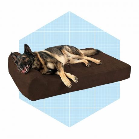 เตียงสุนัขกระดูกและข้อขนาดใหญ่พร้อมพนักพิงศีรษะ
