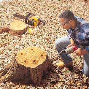Come rimuovere un ceppo d'albero indolore