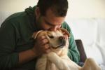 13 'Fakta' Tentang Anjing Yang Benar-Benar Salah