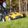 20 sposobów, w jakie robisz źle dla swojego trawnika