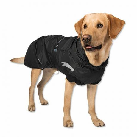 płaszcz przeciwdeszczowy dla psa