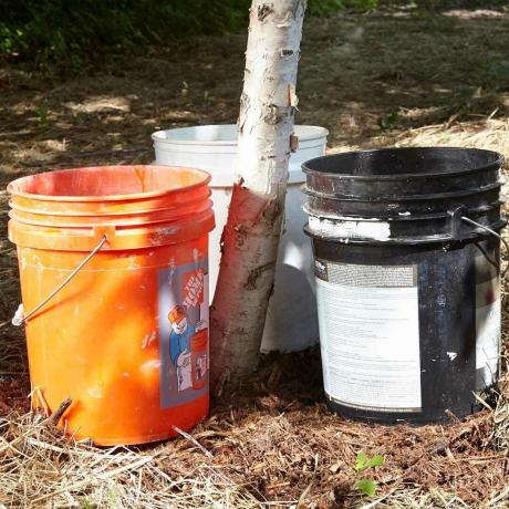 Secchio da 5 galloni per innaffiare meglio gli alberi