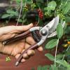10 najlepszych nożyc do przycinania dla łatwiejszego ogrodnictwa 2022
