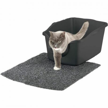 Caja de arena para gatos