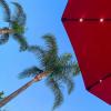 Hvad man skal vide om solparaplyer