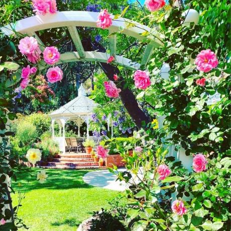 Мечтателна цветна градина С любезното съдействие на @55littlefarmcottagedrive чрез Instagram