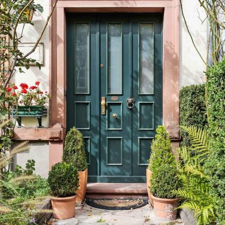 Puerta de entrada con plantas en macetas 