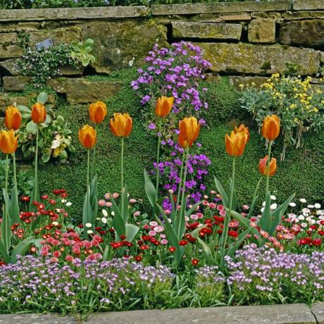 Ideas de paisajismo de patio pequeño con flores de colores de diferentes tamaños