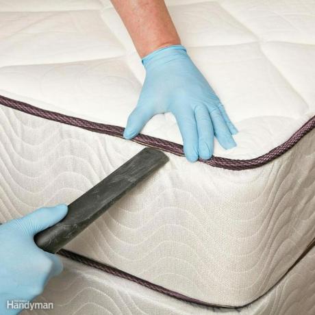 FH16JAU_BEDBUG_09-1 limpiar con aspiradora el colchón desinfectar la cama