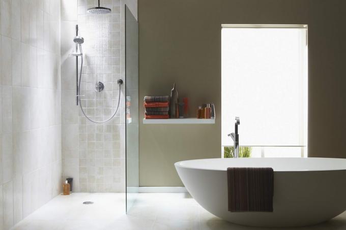 Vannas istabas interjers ar dušu un brīvi stāvošu vannu