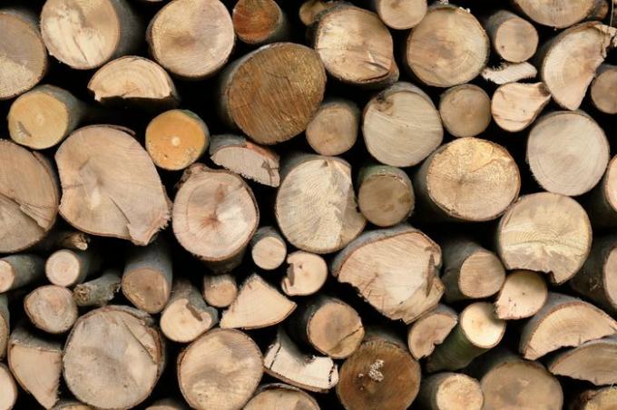 Brennholz für den Winter, Brennholzstapel, Brennholzhaufen.