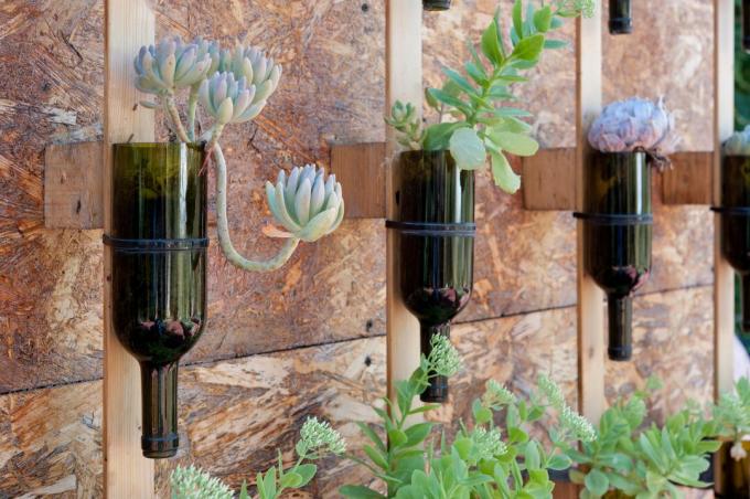 Botellas de vino reutilizadas como macetas en el muro de un jardín