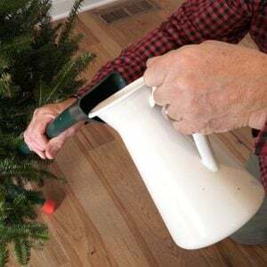 クリスマスツリーに水をやる方法