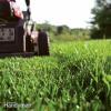 نصائح سهلة للعناية بالعشب (DIY)