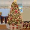 La mejor valla para árboles de Navidad para cada presupuesto 2021