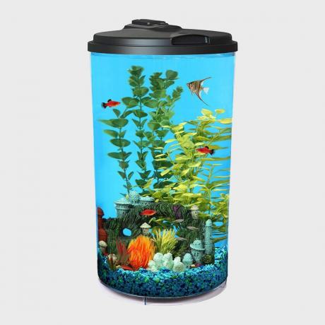 Koller Products Kit per acquario Aquaview 360 da 6 galloni con illuminazione a LED e filtro di alimentazione trasparente tramite Amazon