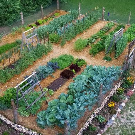 En Ground Vegetable Garden Cortesía de @thewiedmeyerhomestead Vía Instagram