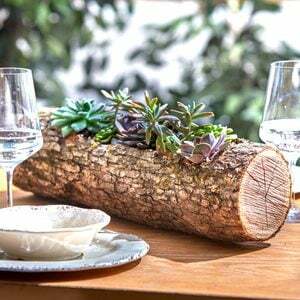 Hoe maak je een houten log Planter voor vetplanten