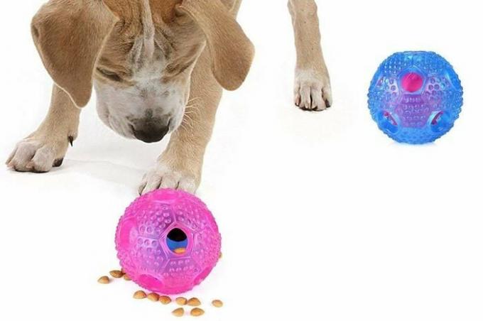juguete interactivo para perros