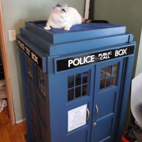Condo pentru pisici TARDIS 