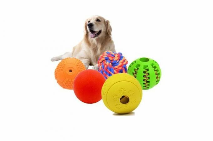 mainan bola untuk anjing