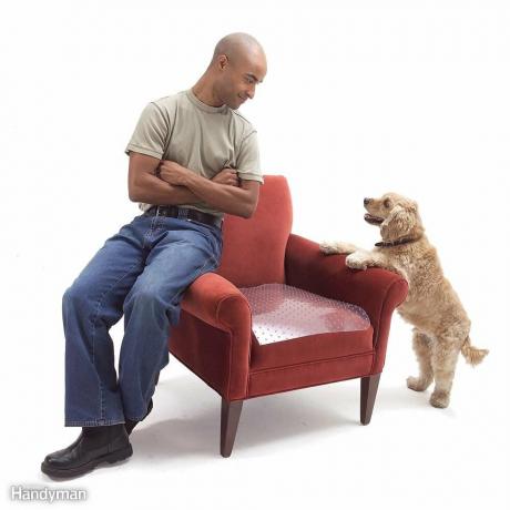 Repelente de mascotas para muebles