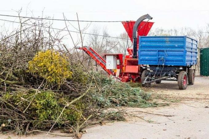 Weihnachtsbaum-Recycling Haufen von Nadel- und Laubbäumen und ein Holzschredder im industriellen Kompostzentrum.