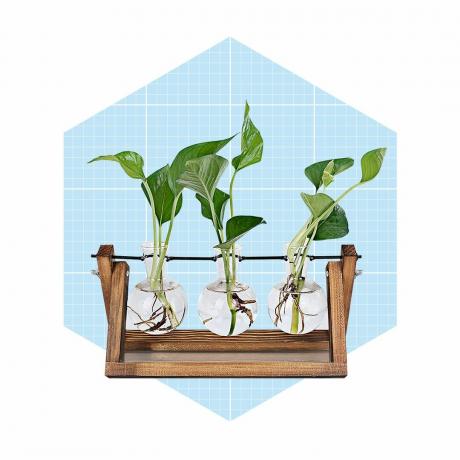 식물 애호가를 위한 식물 번식 스테이션