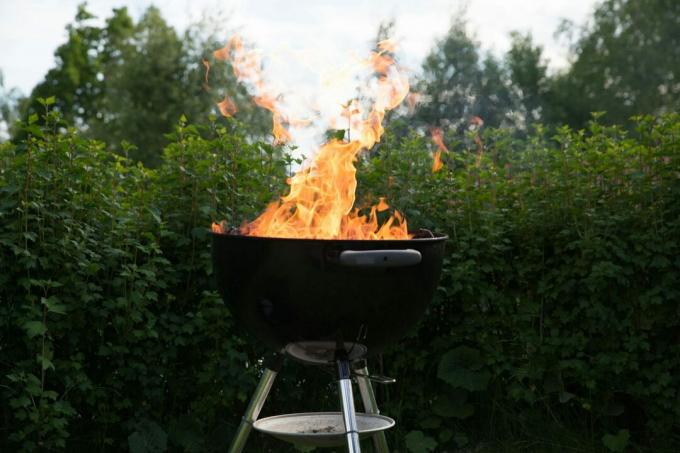 Zbliżenie ognia na grillu przeciwko roślinom