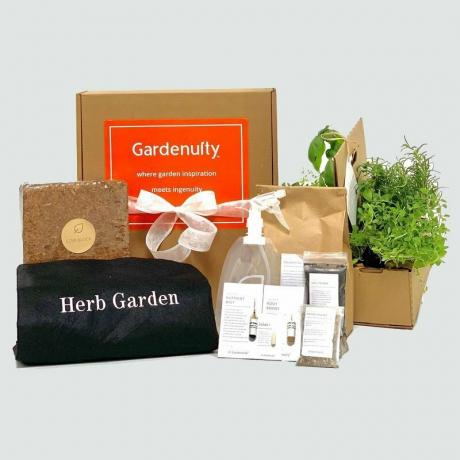 kit de jardin d'herbes aromatiques 