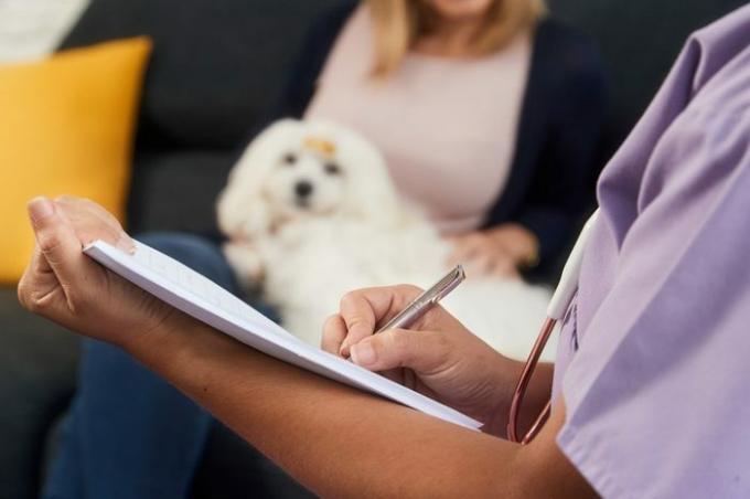Jauna latīņu sieviete strādā par veterinārārstu, veterinārārsts sarunas laikā ar suņa īpašnieku sarunas laikā. Dzīvnieku ārsts mājās raksta piezīmi recepšu zālēm. Roku turēšanas pildspalvas tuvplāns