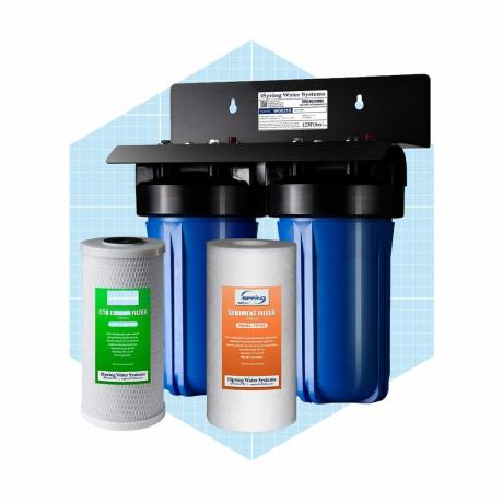 Ispring Wgb21b Système de filtration d'eau pour toute la maison en 2 étapes Ecomm Amazon.fr