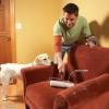 애완동물에게 사랑을 보여주는 40가지 완벽한 애완동물 프로젝트 — Family Handyman