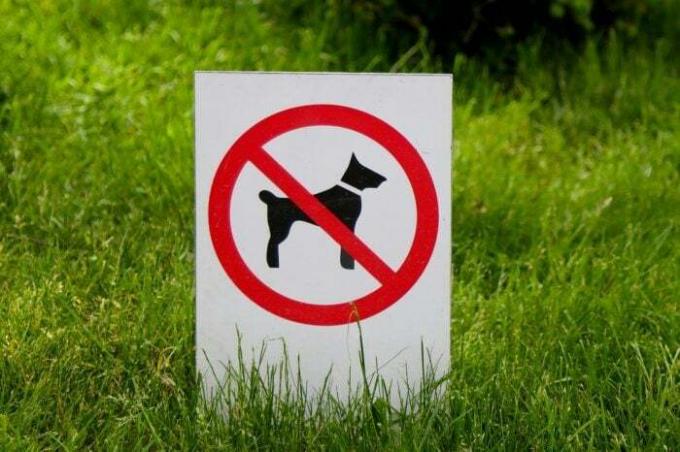Skilt der forbyder gående hunde.