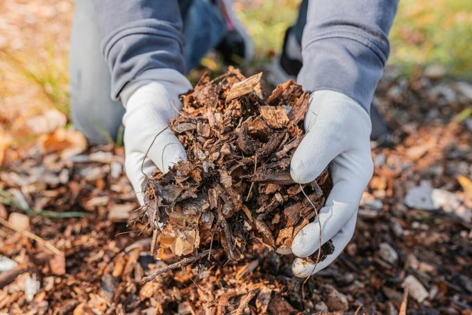 Toprağı zenginleştirmek için organik atıkların kompostlanması