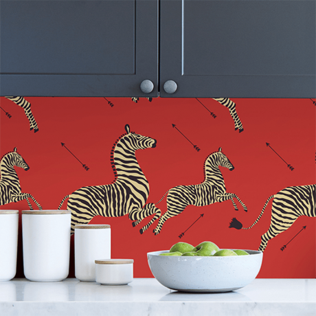 Masai Red Zebra Safari Wallpaper Ecomm tramite Wallpops