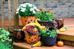 Sutaupykite pinigų ir gaukite daugiau naudos iš rudens gėlių sodintuvų