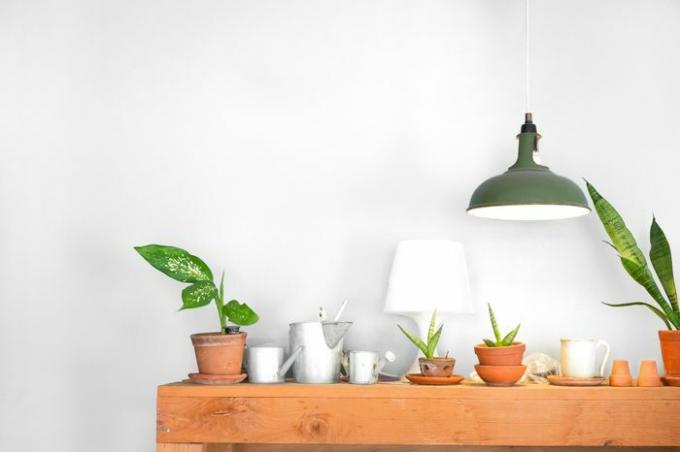 Настольная лампа и небольшой горшок с растением на деревянном шкафу