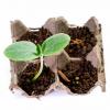 12 artículos domésticos comunes que puede convertir en iniciadores de semillas de jardín