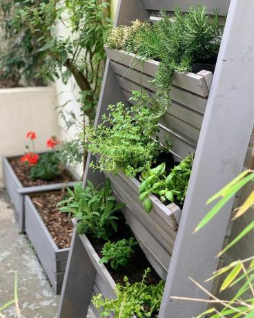 Nagnuti okomiti vrt uz dopuštenje @carcassonnetownhouse putem Instagrama