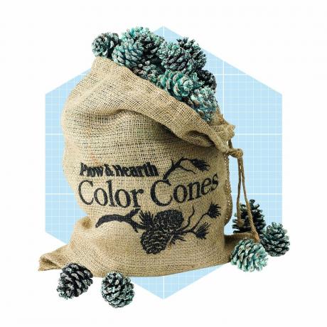 Amazon.com: Plow & Hearth - Conos de pino que cambian de color, accesorio para chimenea Ecomm: Home & Kitchen