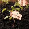 Crea classici pennarelli per piante in rame (fai da te)