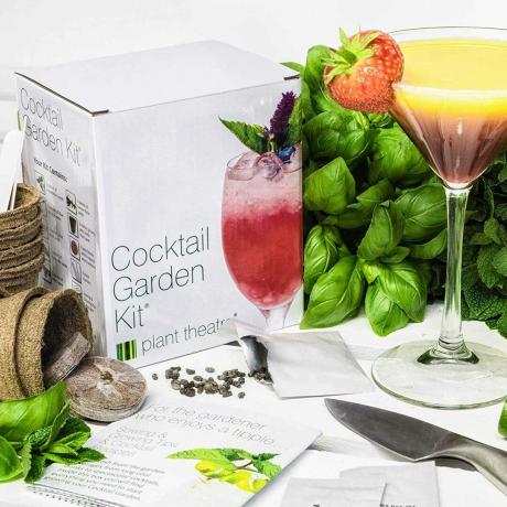 Cocktail trädgård växa kit