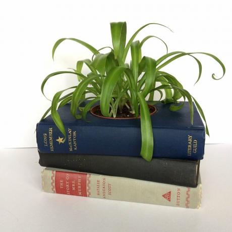 oude boeken plantenbakken
