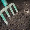 Как улучшить почву в саду без особых затрат