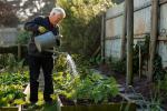 7 dicas para proteger seu jardim em uma onda de calor